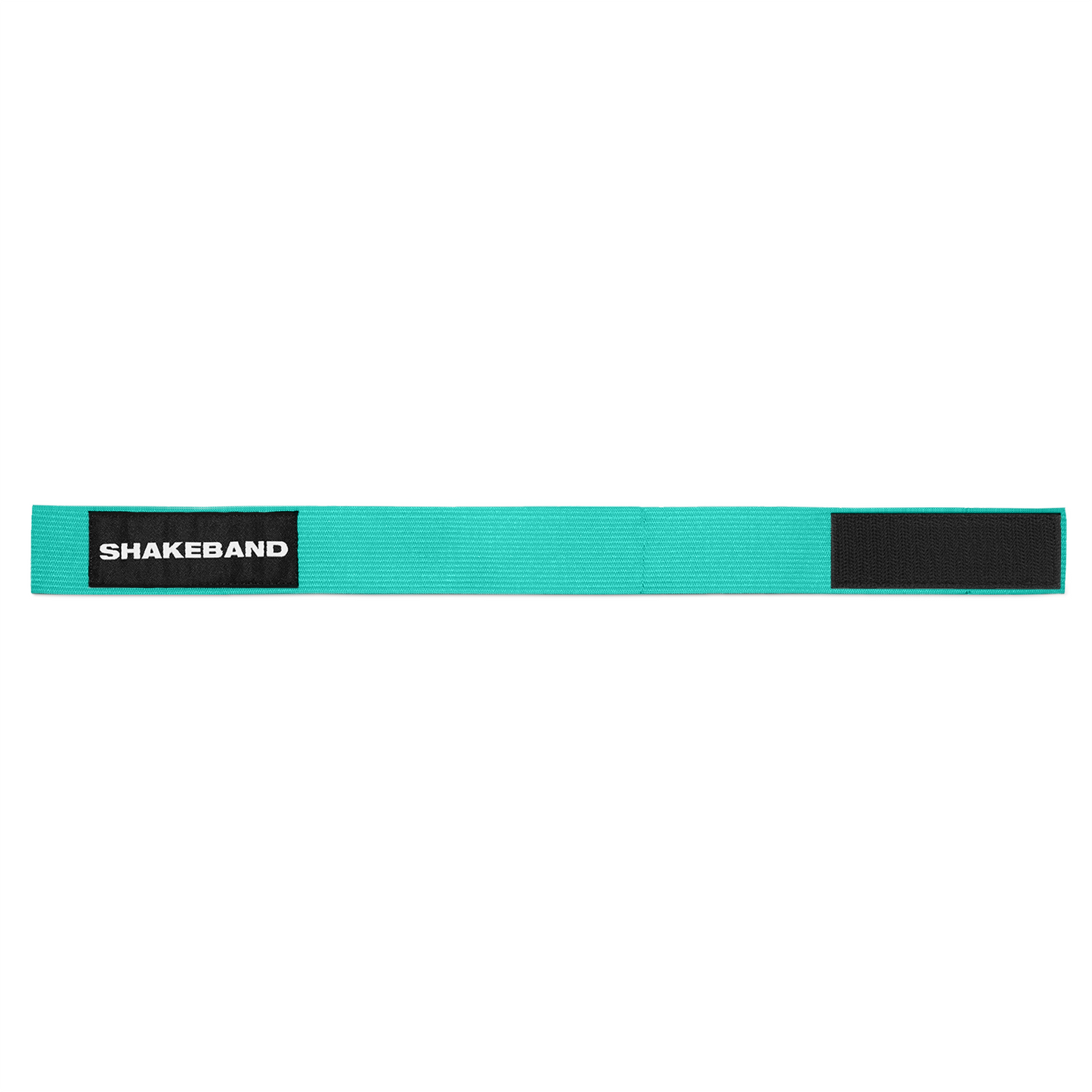 Shakeband Turquoise