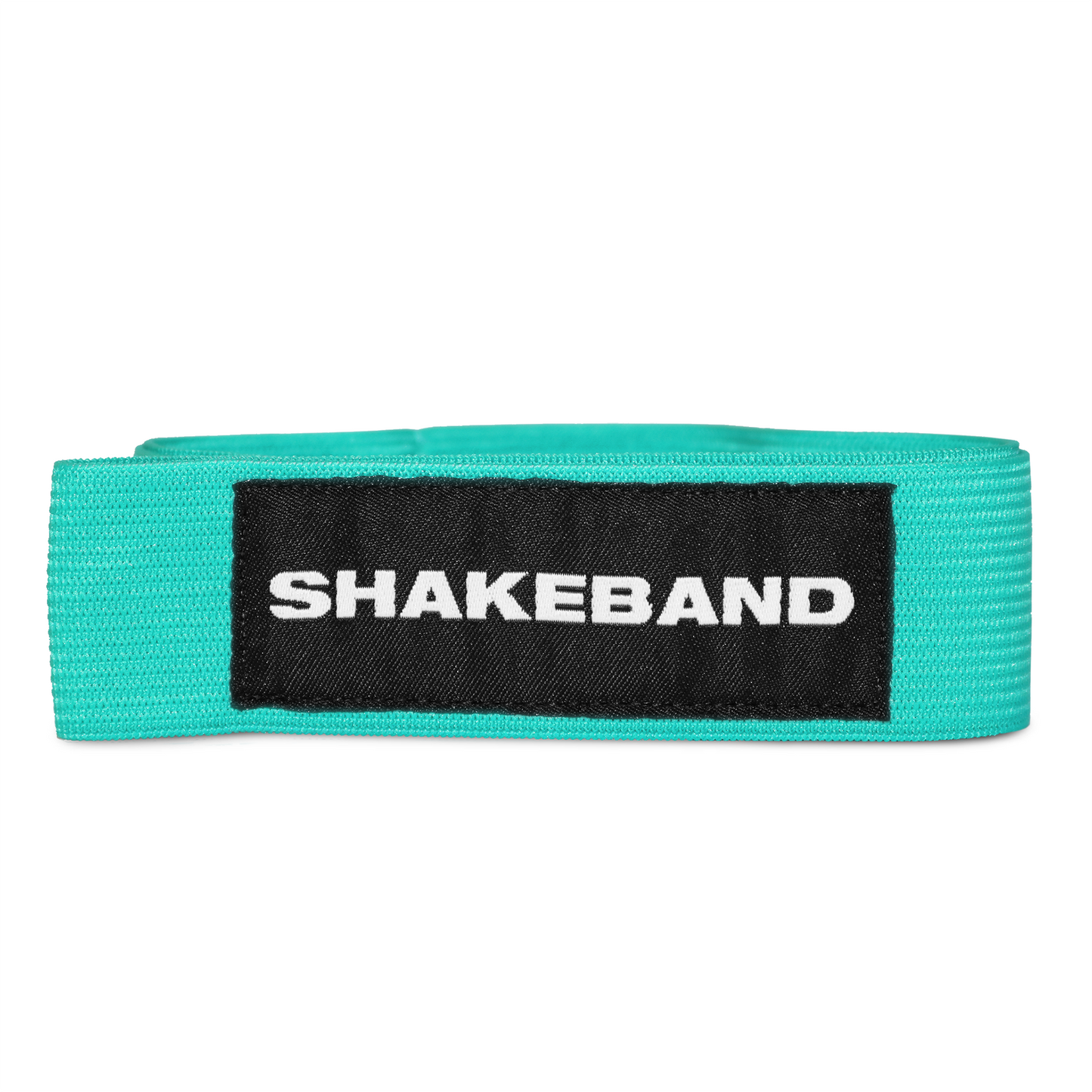 Shakeband Turquoise