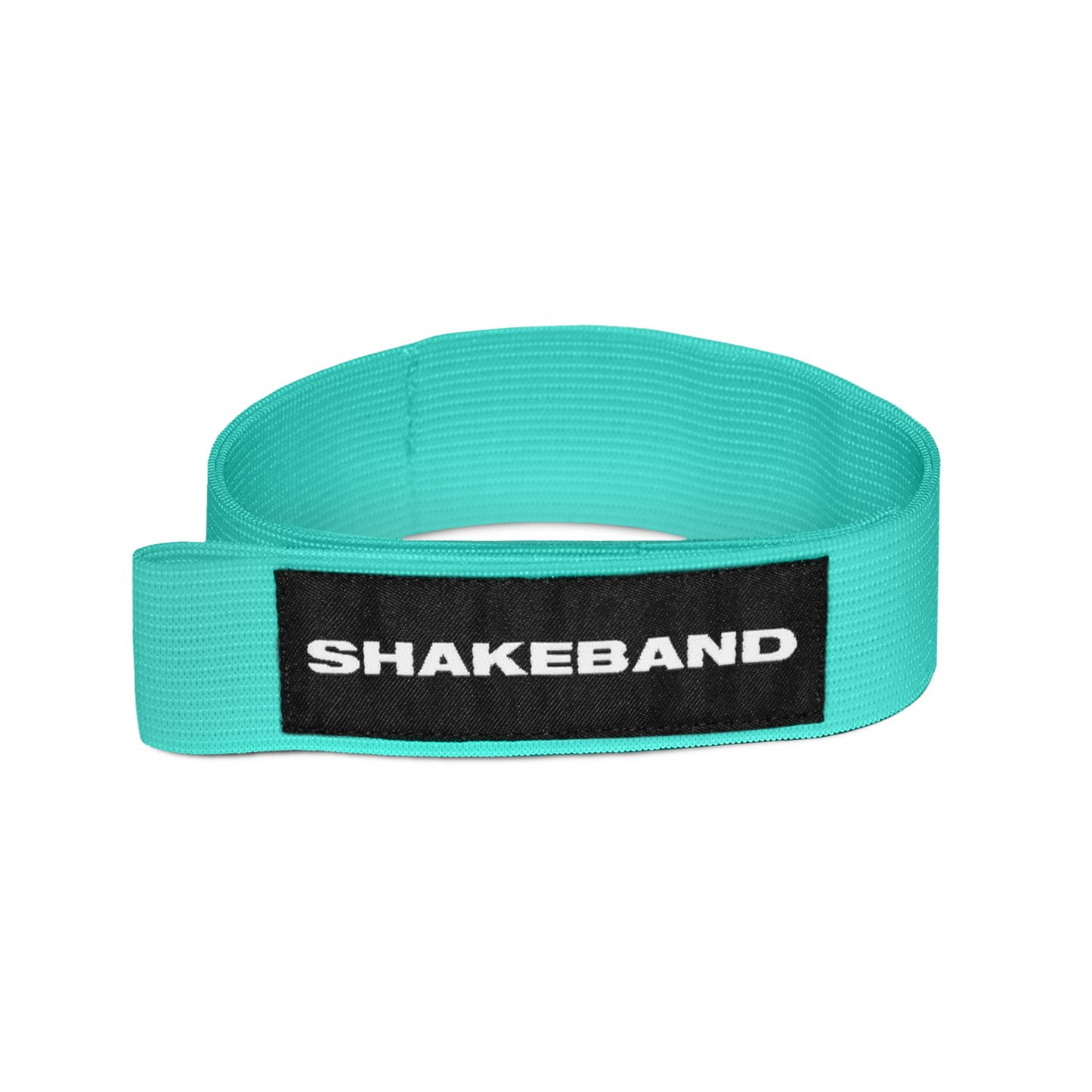 Shakeband Turquoise